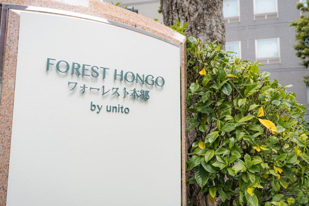 FOREST HONGO BY UNITO