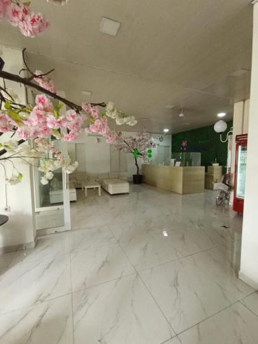 Hotel Aleander