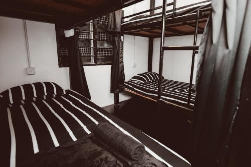 House of Wolves Hostel