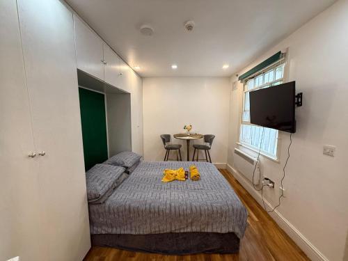 Lovely Hyde Park Studio Flat