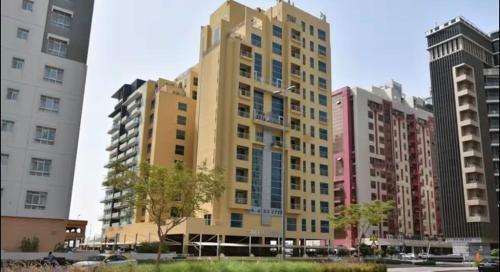 Budget Friendly Partition in Barsha Heights