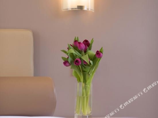 Easystay Studio Apartments Melbourne Melbourne Price Address Reviews