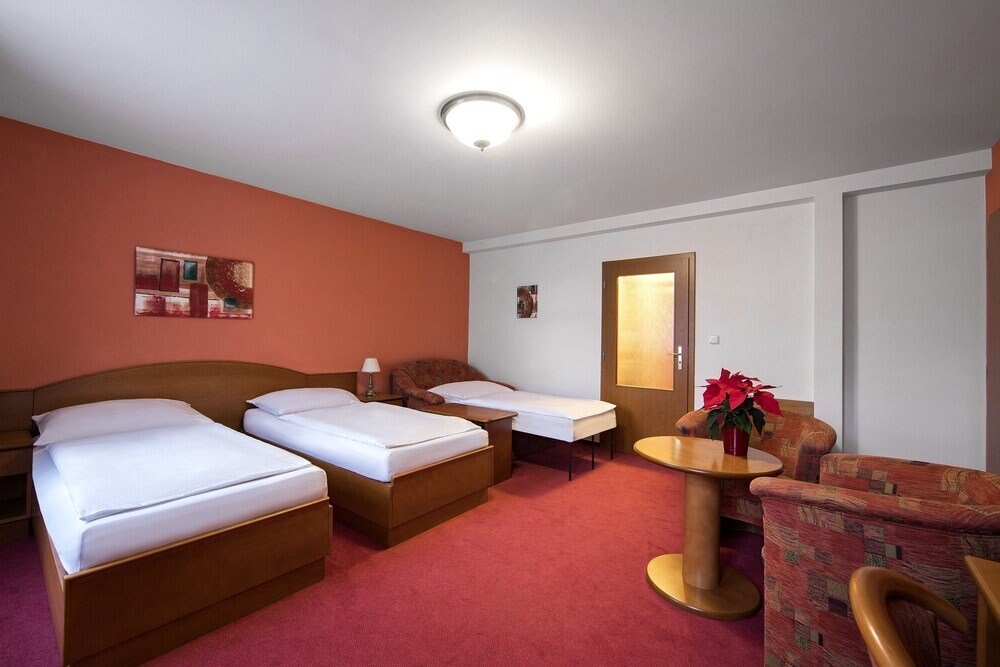 Hotel Attic Room Type - Superior Double Room