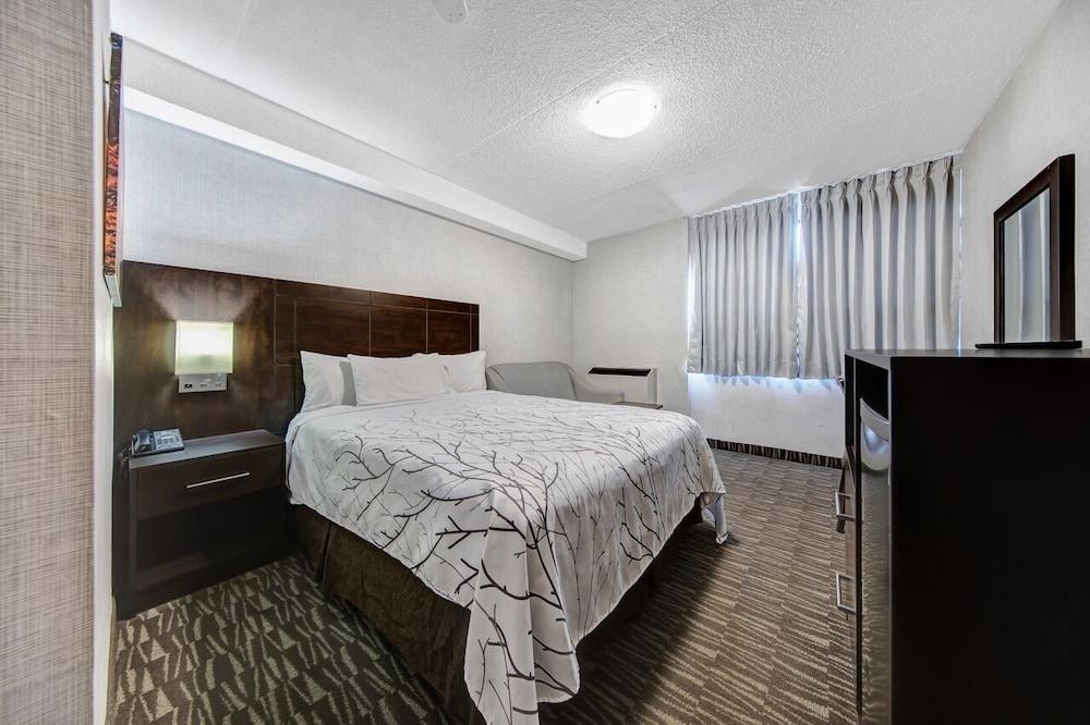 Deluxe Inn Room Type - Standard Room, 1 Queen Bed (Non-wheelchair Accessible)