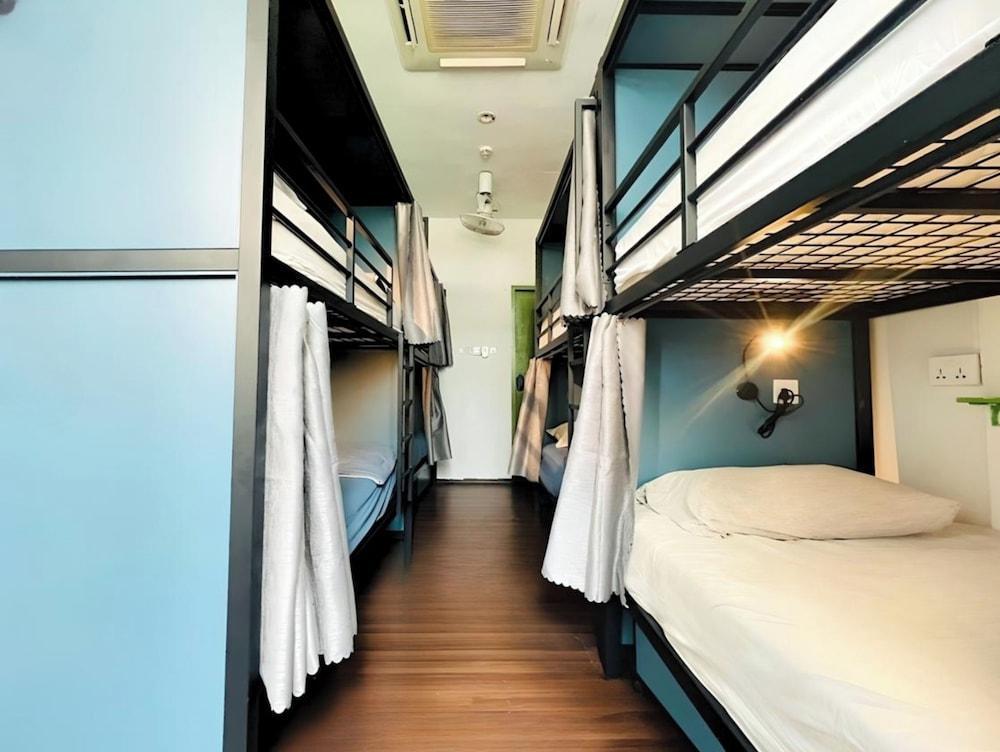 Beary Best! Hostel Room Type - 1 Bed in 8 Bedded Female Dorm