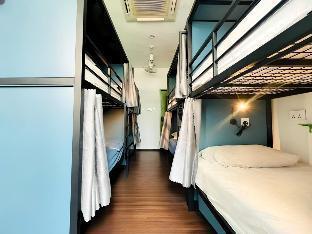 Beary Best! Hostel Room Type - 1 Person in 10-Bed Dormitory - Female Only