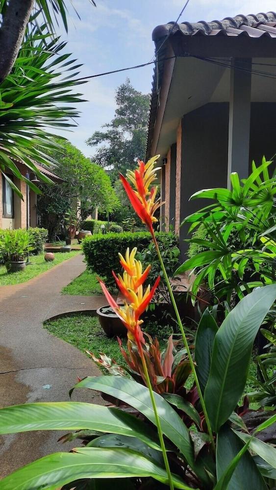 Floraville Phuket Resort - Tap to explore photos