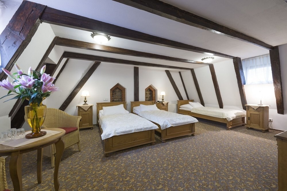 Hotel Černý Slon Room Type - Triple Room