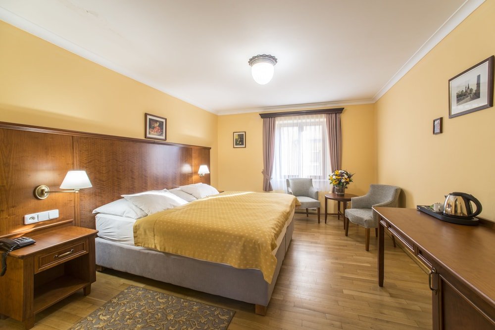 Hotel Černý Slon Room Type - Double Room