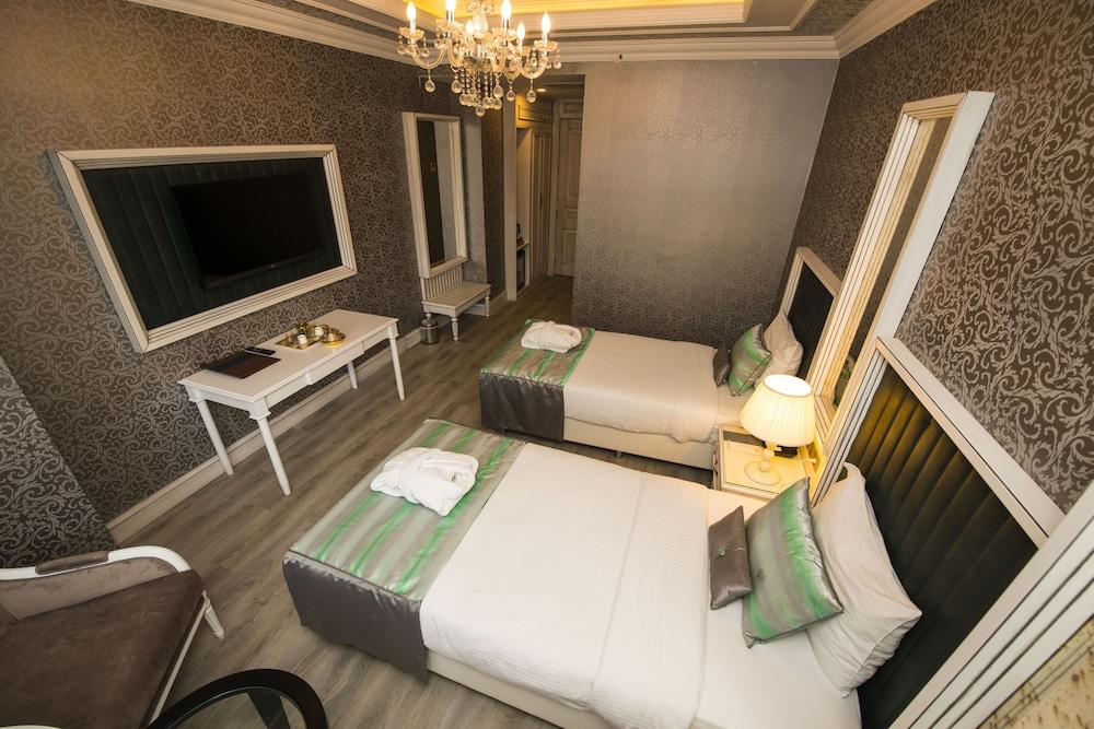 Manesol Old City Bosphorus Room Type - Standard City View Double Room