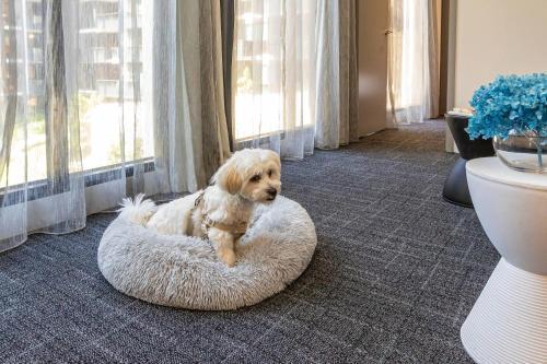 MainStay Suites Abbotsford - Tap to explore photos