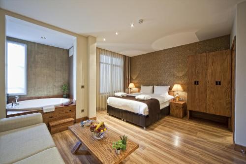 Triada Hotel Taksim - Special Category Room Type - Executive Double Room