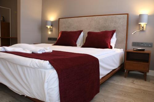 Triada Hotel Taksim - Special Category Room Type - Deluxe Double Room - Annex