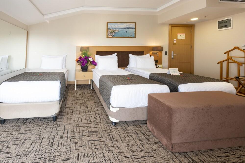 Hotel Boursier 1 & SPA Istanbul Room Type - Standard Triple Room, City View