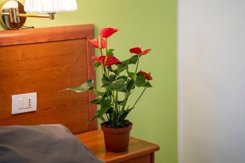 Il Passetto Room Type - Large Double or Twin Room