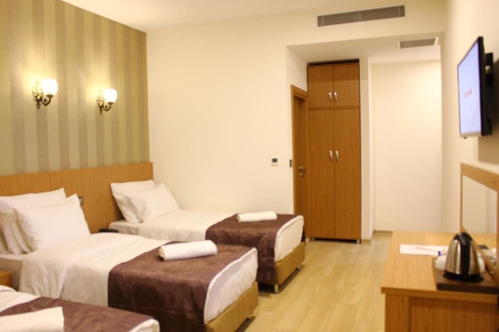 Hotel Melidium Room Type - Standard Triple Room, City View