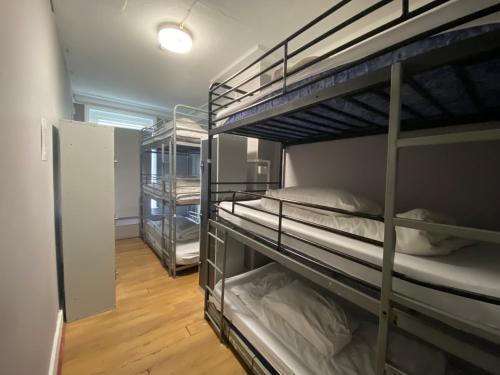Queen Elizabeth Chelsea Room Type - Bunk Bed in 18 Bed  Dormitory Room