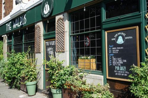The Walrus Bar and Hostel - Tap to explore photos
