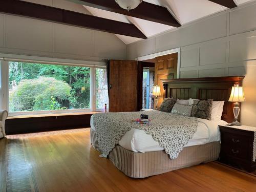 Arnica Views Room Type - Manor King Suite Arnica Views Room Type - Manor King Suite