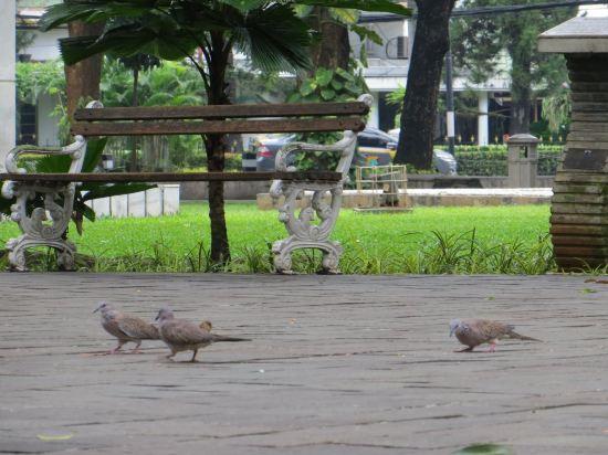 Wisma Rimadi Jakarta Price Address Reviews