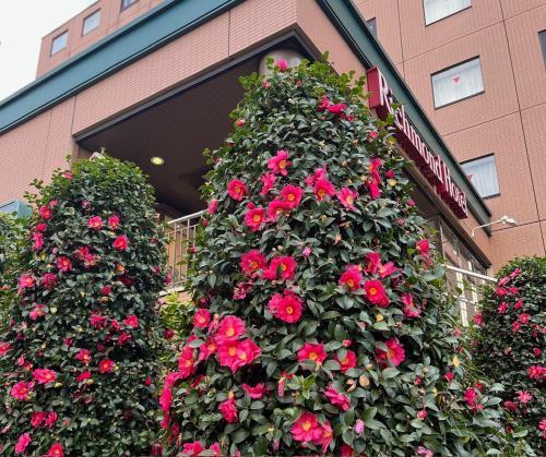 Richmond Hotel Tokyo Musashino - Tap to explore photos