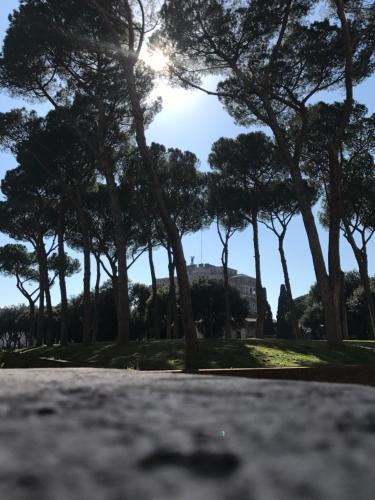 Cassiodoro 19 - Tap to explore photos