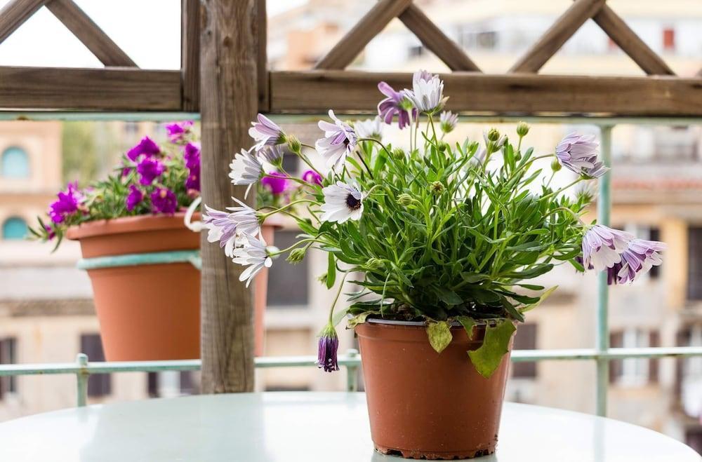 Prati Resort Guesthouse - Tap to explore photos