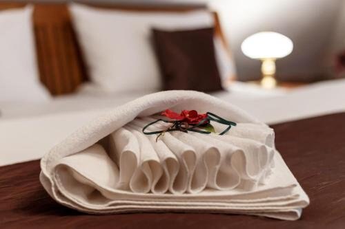 Pension U Hastrmana Room Type - Deluxe Double Room with Shower