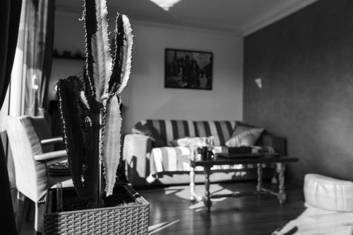 Chambre d'Amis (Chambres d'Hôtes/BnB/Guest House) - Tap to explore photos
