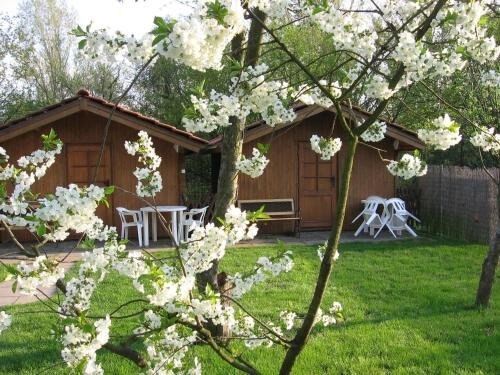 Pension Trojská Room Type - Bungalow