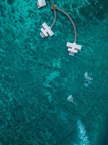 Diamonds Thudufushi Maldives Resort & Spa - Tap to explore photos