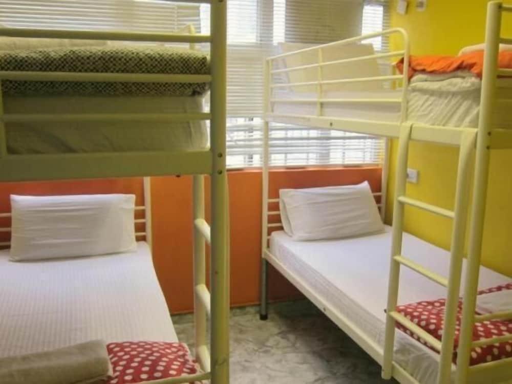 David Lounge Room Type - Shared Dormitory, Mixed Dorm