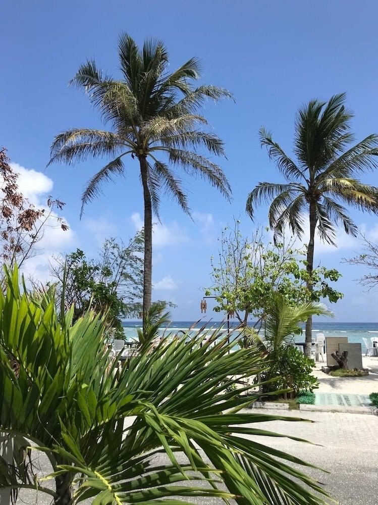 Airport Comfort Inn Premium Maldives 3 7 9 0 Hotel Price Address Reviews