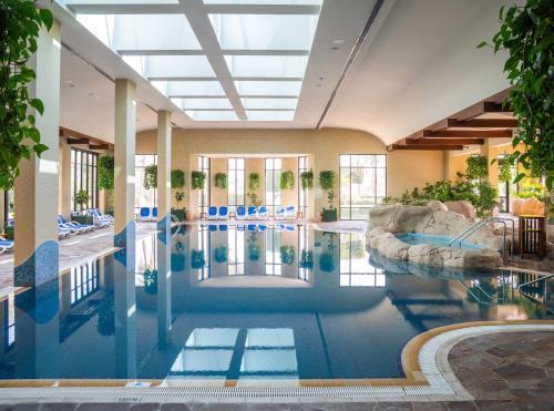 Grand Hyatt Dubai Hotel - Tap to explore photos