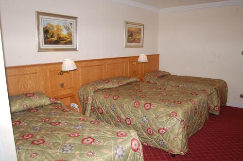 Viking Hotel Room Type - Quadruple Room