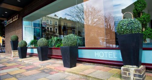 Hotel Lily - Tap to explore photos
