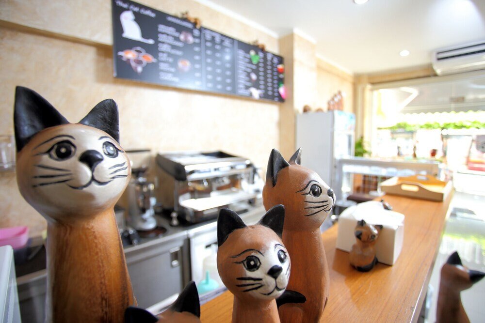 Thai Cat Hostel BB Bangkok - Tap to explore photos