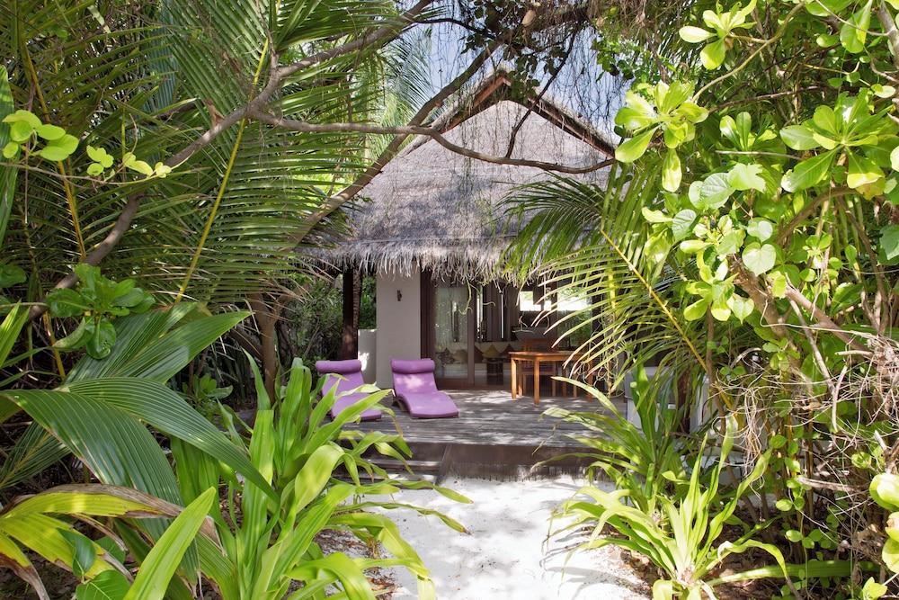 Coco Bodu Hithi Room Type - Island Villa with private pool