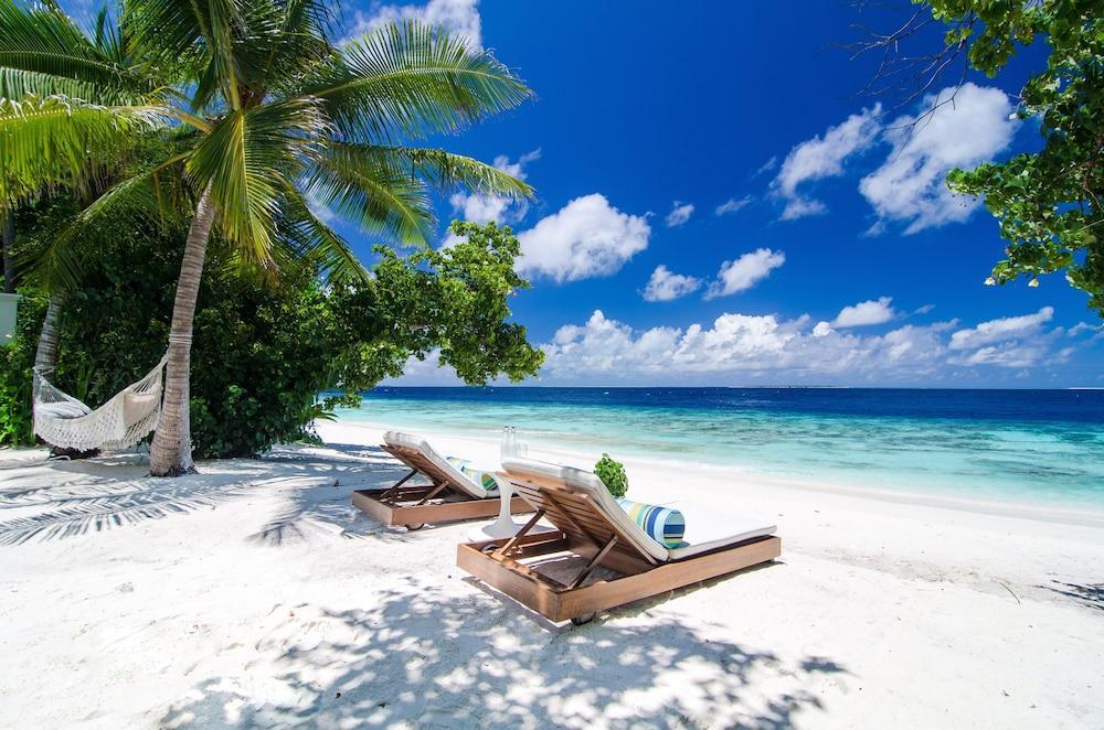 Amilla Maldives Room Type - Beach Pool Villa