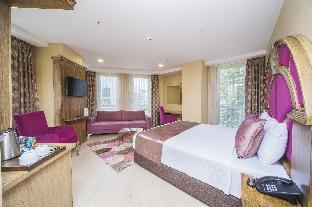 Gulec Hotel & Spa - Special Category Room Type - Double or Twin Room