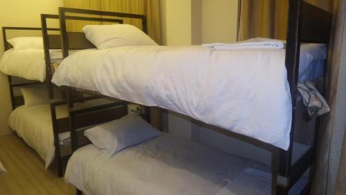 Paxx Istanbul Hotel&Hostel Room Type - Bed in 4-Bed Mixed Dormitory Room