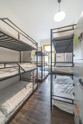 Hostel Orange Room Type - Private Room (9 Adults)