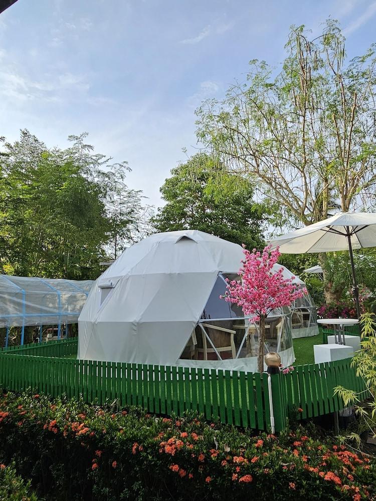 Everest Resort Room Type - Romantic Tent