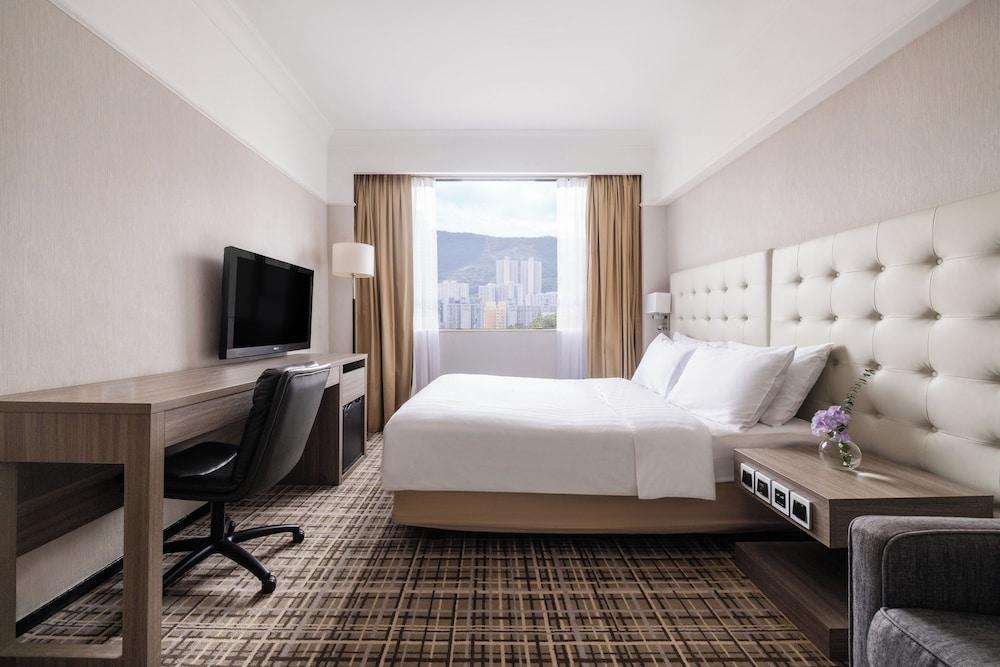 Panda Hotel Room Type - Panda Plus Double Room with Sofa Bed