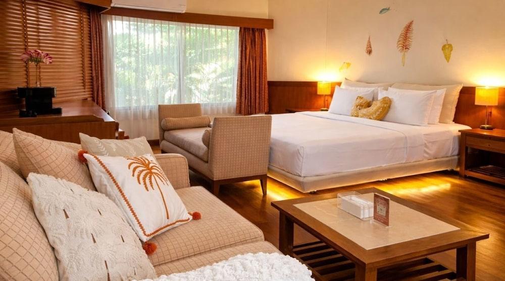 Birds and Bees Resort Pattaya Room Type - Poolside Junior Suite Birds and Bees Resort Pattaya Room Type - Poolside Junior Suite