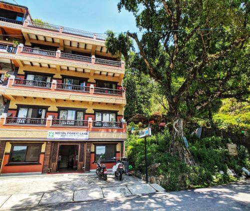 Hotel Forest Lake Backpackers' Hostel - Tap to explore photos