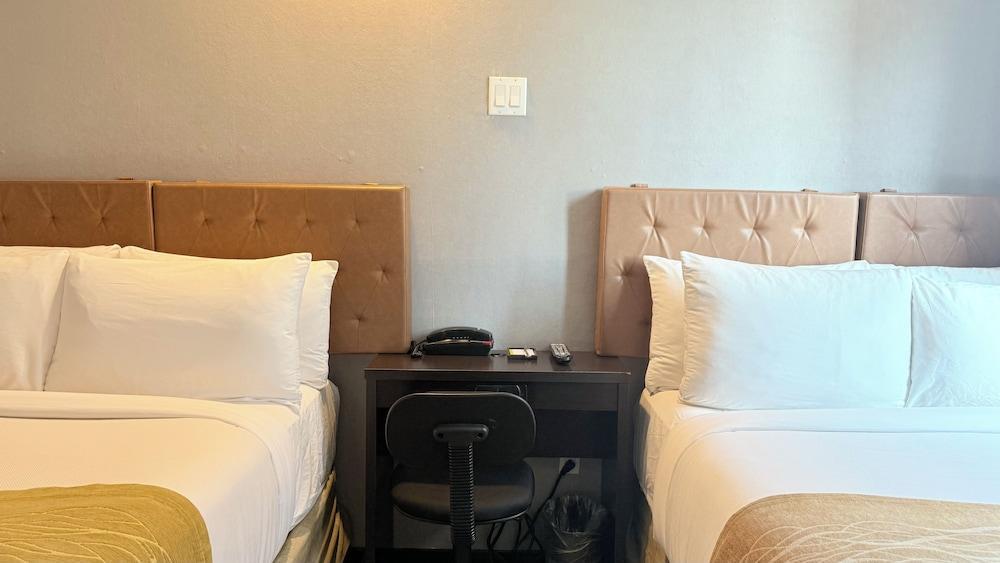 Madison LES Hotel Room Type - Classic Double Room Single Use, Non Smoking