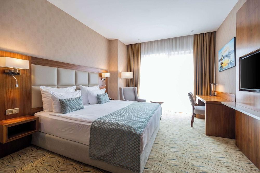 Clarion Hotel Istanbul Mahmutbey Room Type - Standard Room, 1 Double Bed, Non Smoking