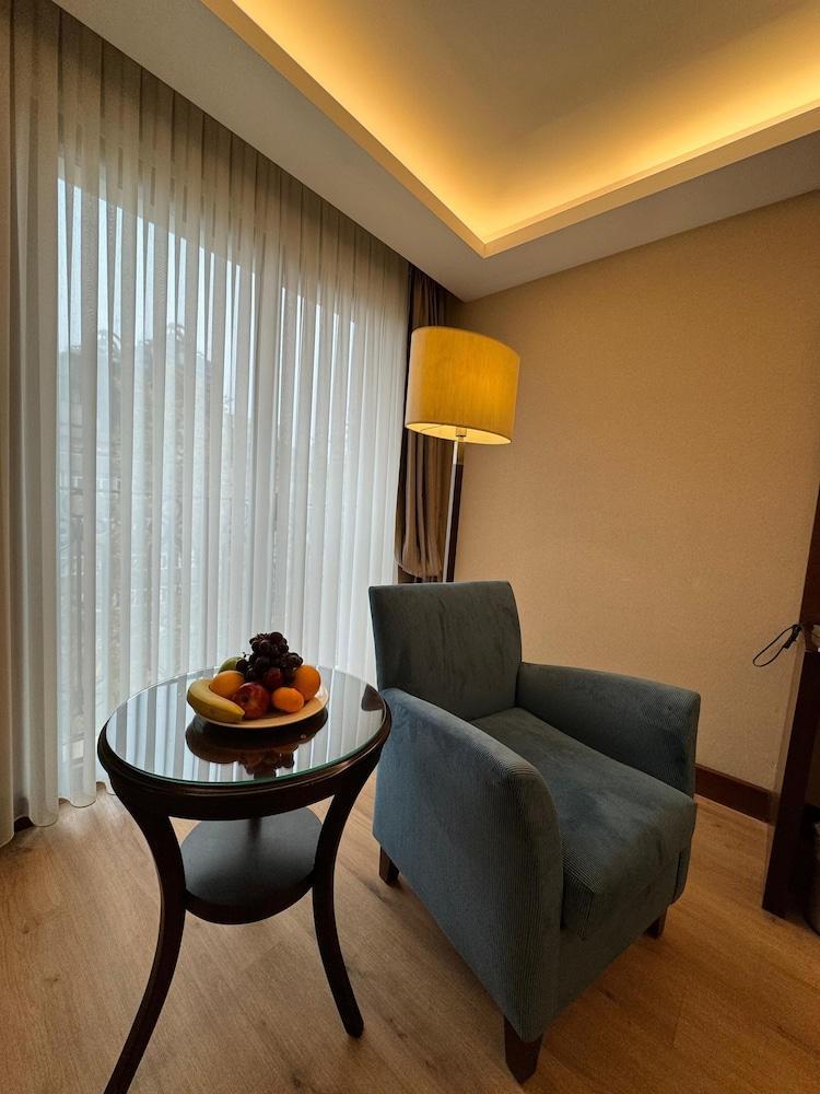 Grand Aras Hotel & Suites Room Type - Deluxe King Room