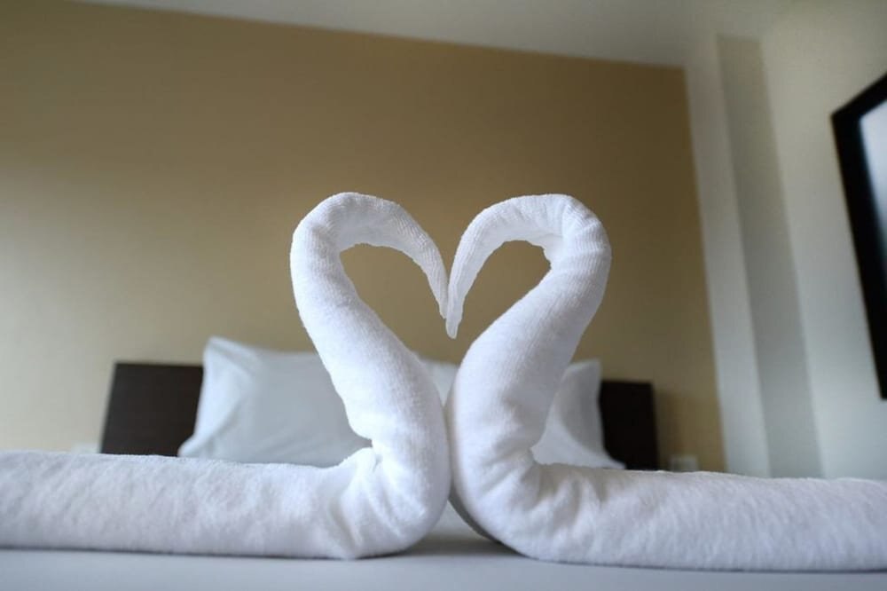 Paradise Resort Room Type - Standard Room